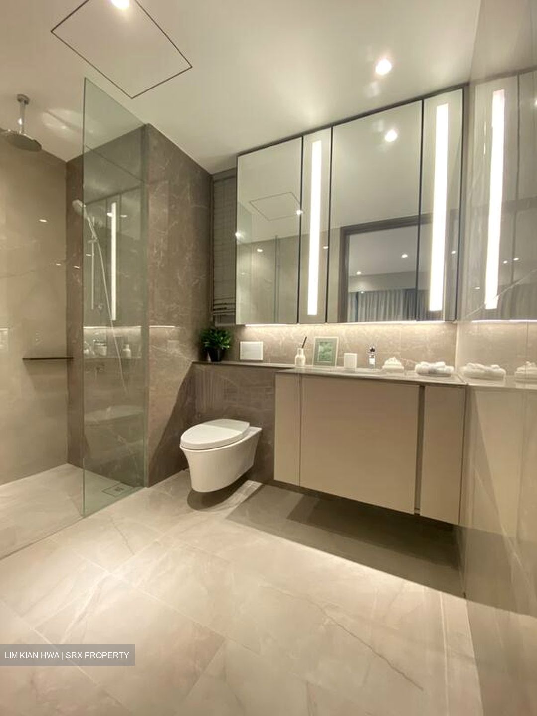 Thomson View Condominium (D20), Condominium #495823561